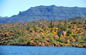 A Pontoon Boat Adventure From Bartlett Lake Marina in Arizona’s Tonto National Forest