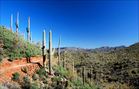Hiking the Go John Trail at Maricopa County’s Cave Creek Regional Park