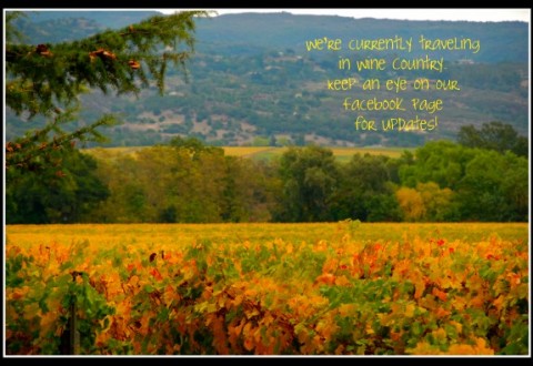 Traveling in Napa Valley Wine Country