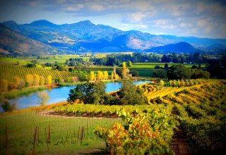 Quintessa Winerya