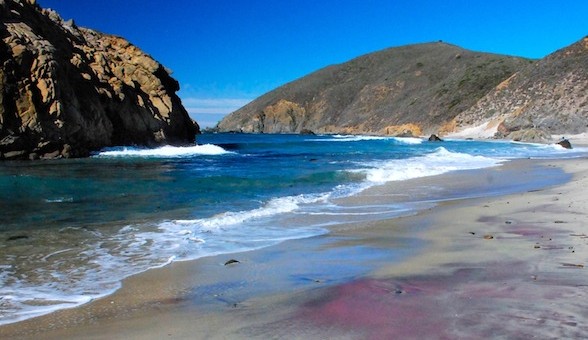 Pfeifer Beach Purple Sand