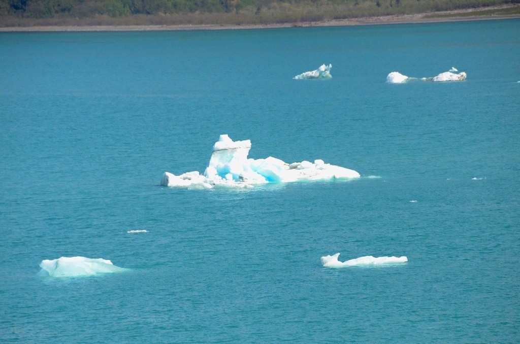 Hubbard Glacier Icebergs 2