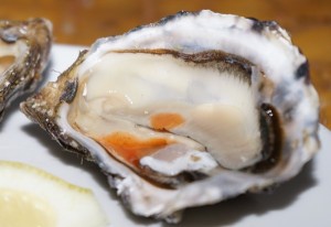 Bordeaux Oysters of Arcachon