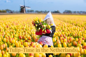 When is Tulip Time in the Netherlands
