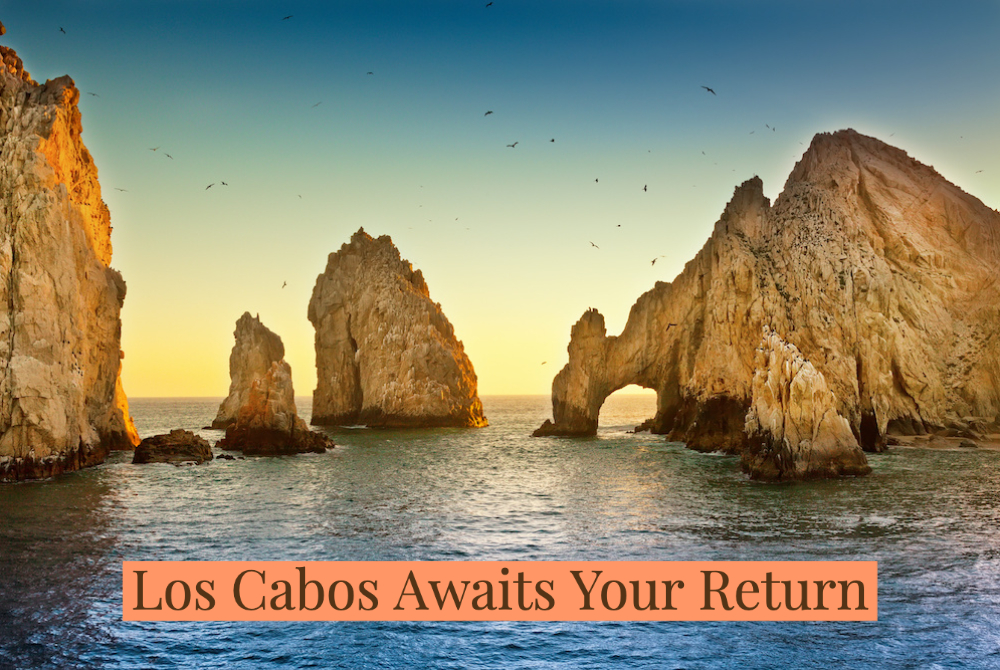 Best Luxury Resorts in Los Cabos, Mexico