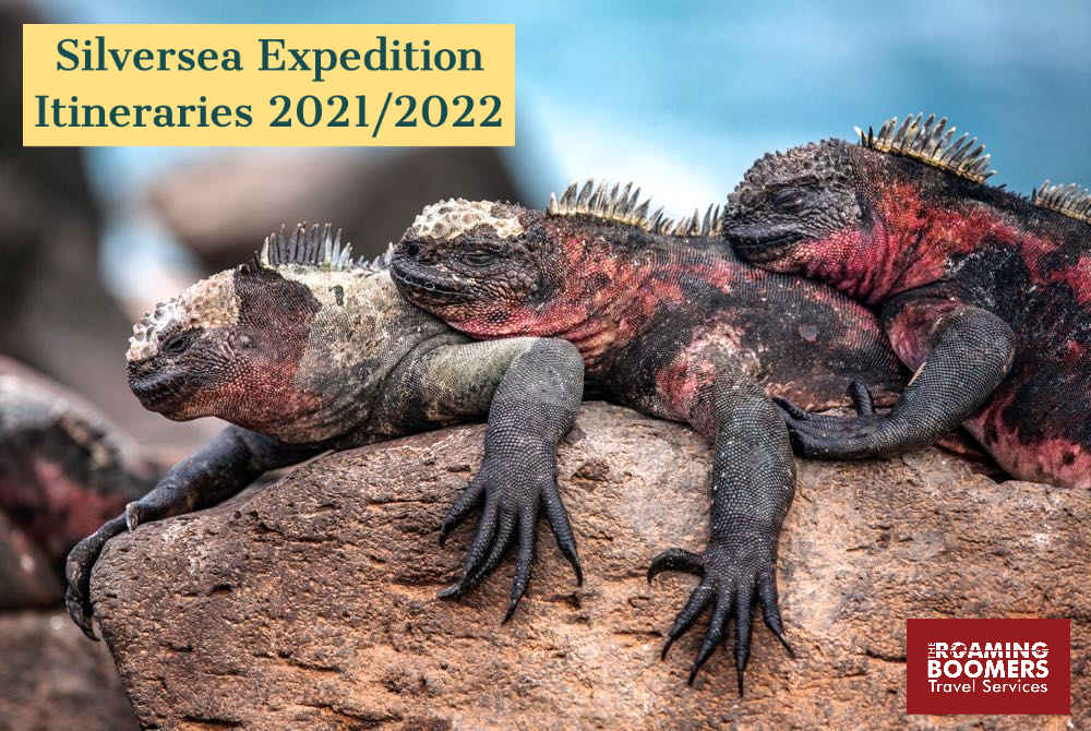 Silversea Cruises Expedition Catalog for 2021 2022