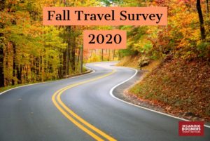 Fall Travel Survey for 2020