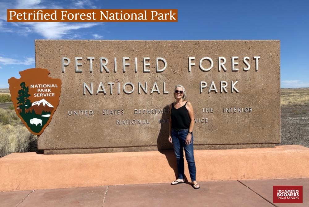 Visiting the Petrified Forest National Park