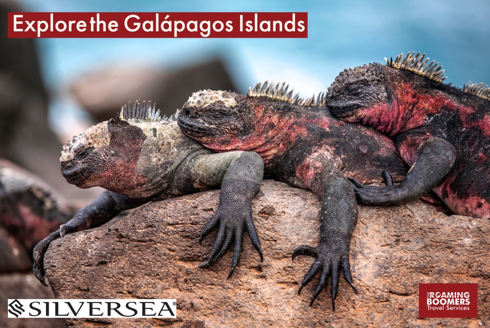 Introduction to exploring the Galapagos Islands with Silversea Cruises