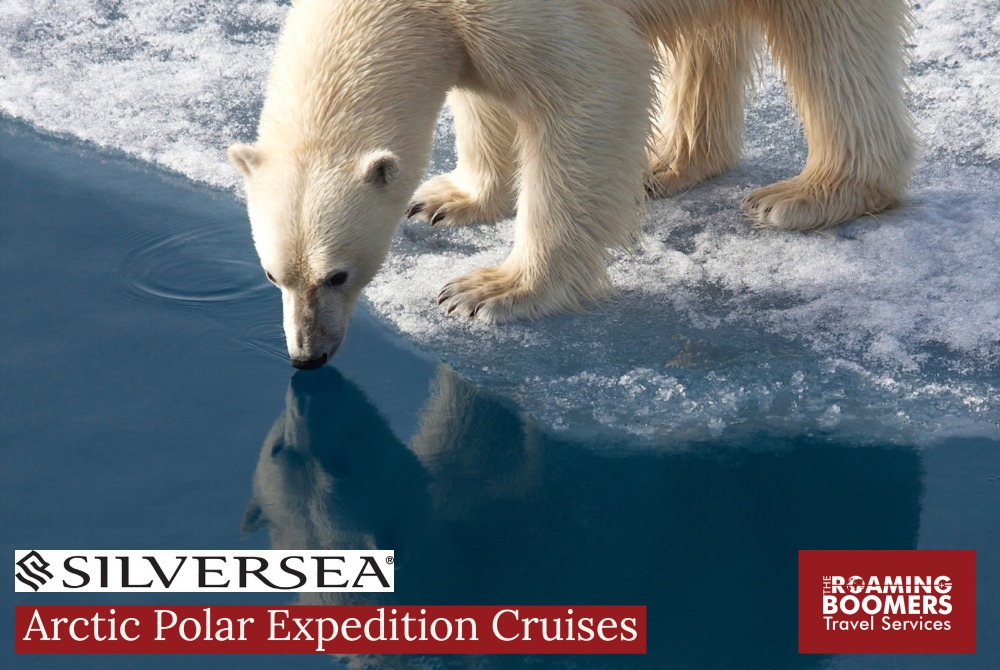 Explore 21 Different Silversea Arctic Polar Expedition Cruises