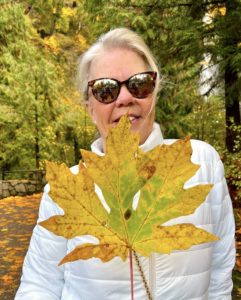 Big Leaf Maple Multnomah Falls Oregon