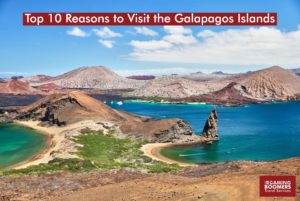 Top 10 Reasons to Visit Galapagos Islands