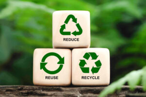 Sustainable Cruises