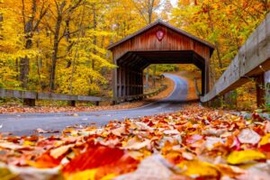 Michigan Fall Colors Viking Cruises